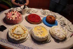 Hier noch eine Übersicht über die ganzen leckeren Torten und Kuchen 🥰 Hier noch eine Übersicht über die ganzen leckeren Torten und Kuchen 🥰