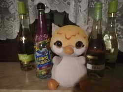 Junggesellinnenabschied Junggesellinnenabschied